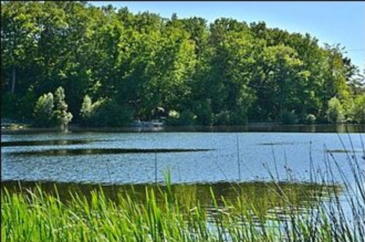 Heart Lake Conservation Area in Brampton